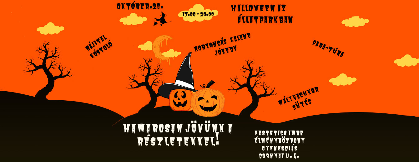 Halloween Party
